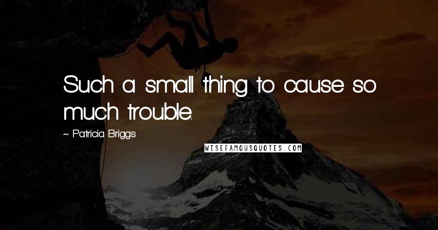 Patricia Briggs Quotes: Such a small thing to cause so much trouble.