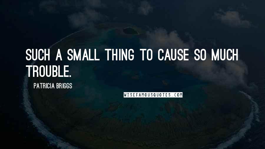 Patricia Briggs Quotes: Such a small thing to cause so much trouble.