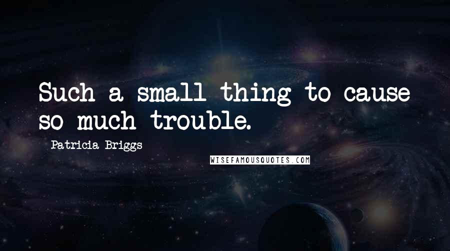 Patricia Briggs Quotes: Such a small thing to cause so much trouble.