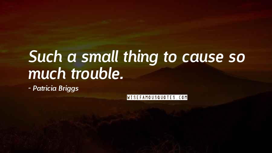 Patricia Briggs Quotes: Such a small thing to cause so much trouble.