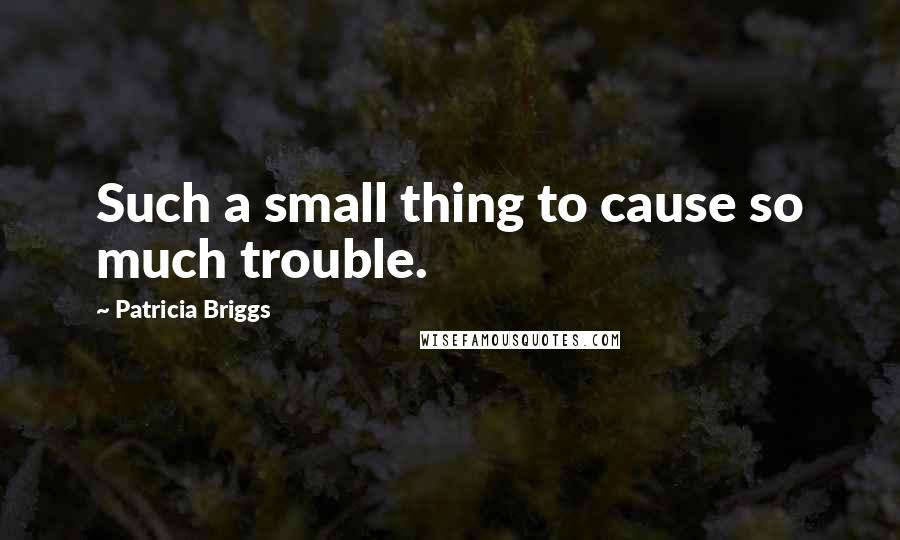 Patricia Briggs Quotes: Such a small thing to cause so much trouble.