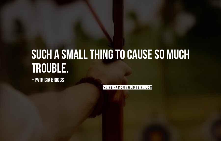 Patricia Briggs Quotes: Such a small thing to cause so much trouble.