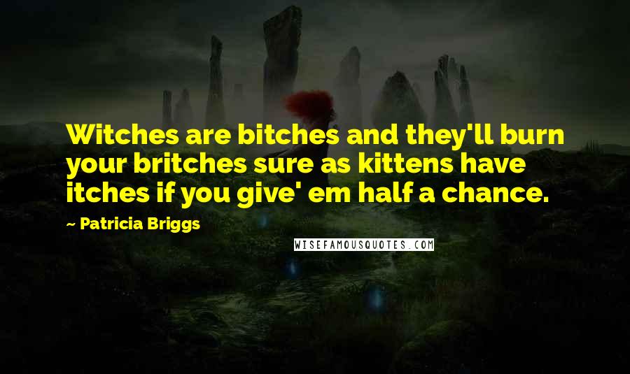 Patricia Briggs Quotes: Witches are bitches and they'll burn your britches sure as kittens have itches if you give' em half a chance.