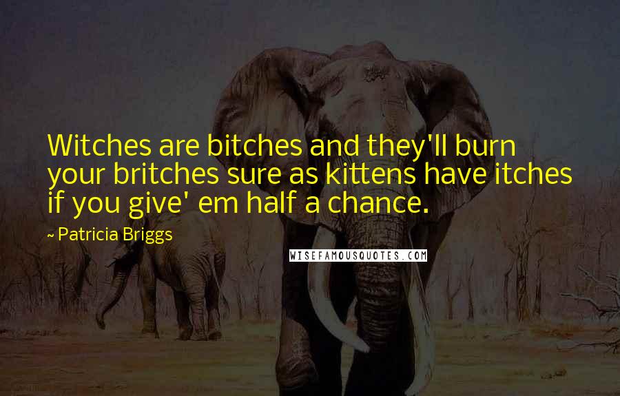 Patricia Briggs Quotes: Witches are bitches and they'll burn your britches sure as kittens have itches if you give' em half a chance.