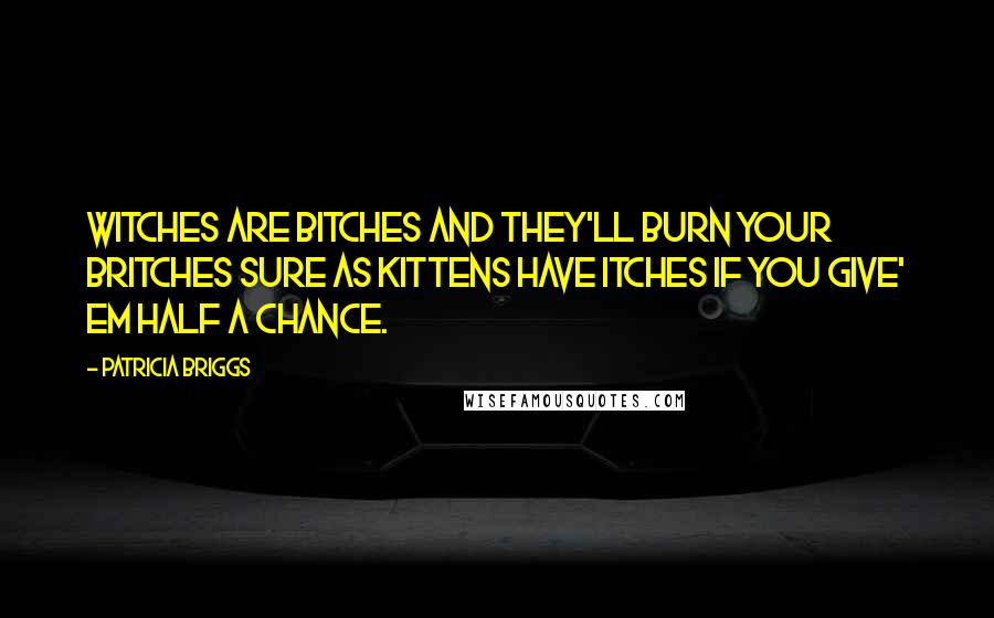 Patricia Briggs Quotes: Witches are bitches and they'll burn your britches sure as kittens have itches if you give' em half a chance.