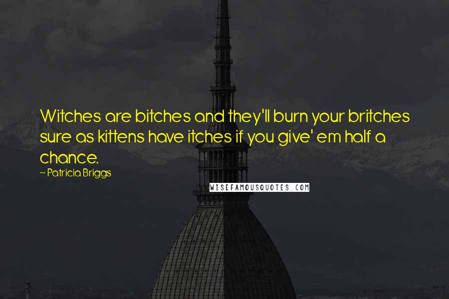 Patricia Briggs Quotes: Witches are bitches and they'll burn your britches sure as kittens have itches if you give' em half a chance.