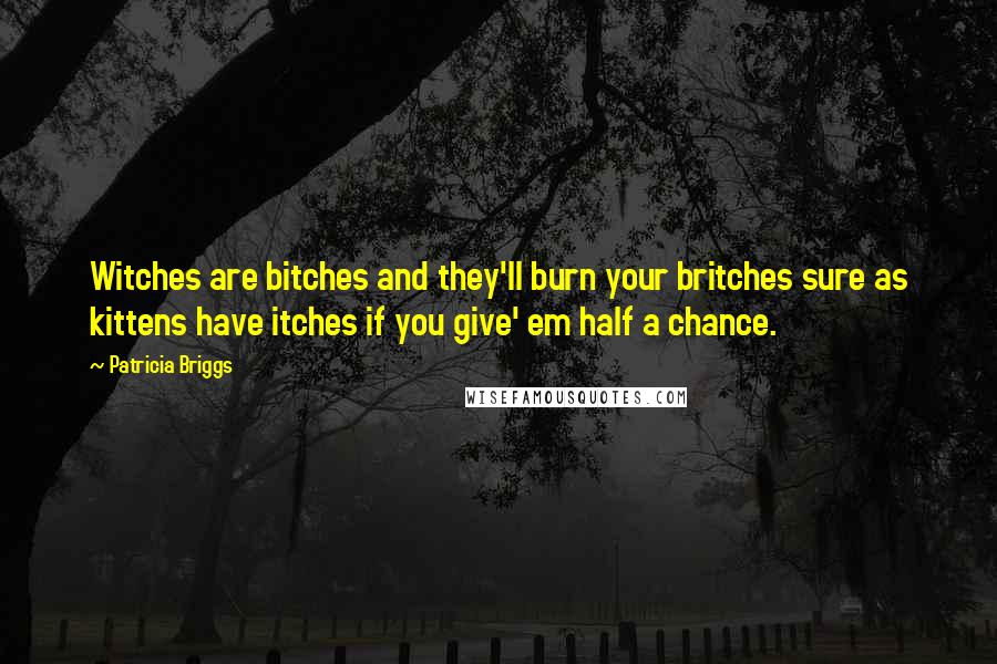 Patricia Briggs Quotes: Witches are bitches and they'll burn your britches sure as kittens have itches if you give' em half a chance.