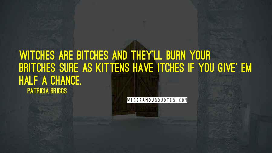 Patricia Briggs Quotes: Witches are bitches and they'll burn your britches sure as kittens have itches if you give' em half a chance.