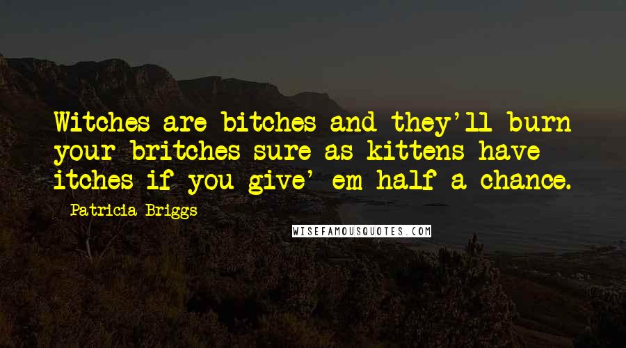 Patricia Briggs Quotes: Witches are bitches and they'll burn your britches sure as kittens have itches if you give' em half a chance.