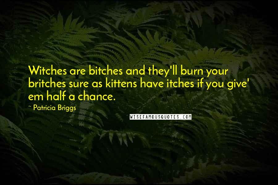 Patricia Briggs Quotes: Witches are bitches and they'll burn your britches sure as kittens have itches if you give' em half a chance.