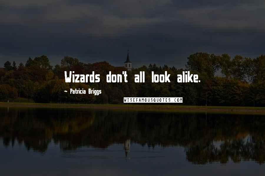 Patricia Briggs Quotes: Wizards don't all look alike.