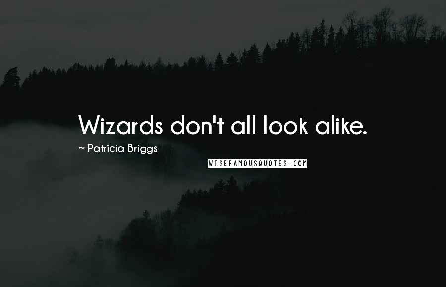 Patricia Briggs Quotes: Wizards don't all look alike.