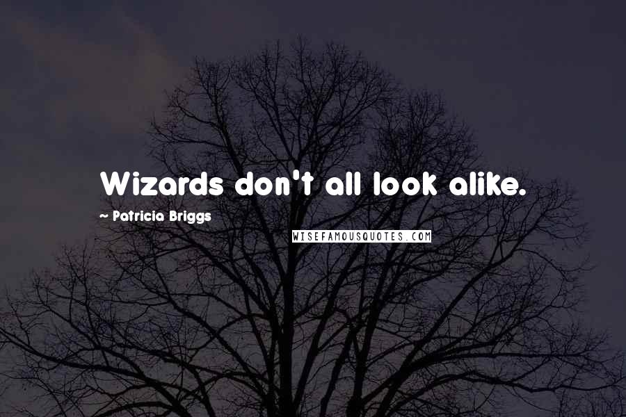 Patricia Briggs Quotes: Wizards don't all look alike.
