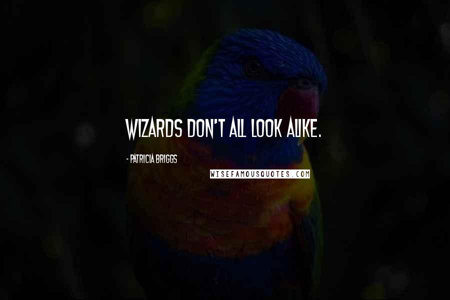 Patricia Briggs Quotes: Wizards don't all look alike.