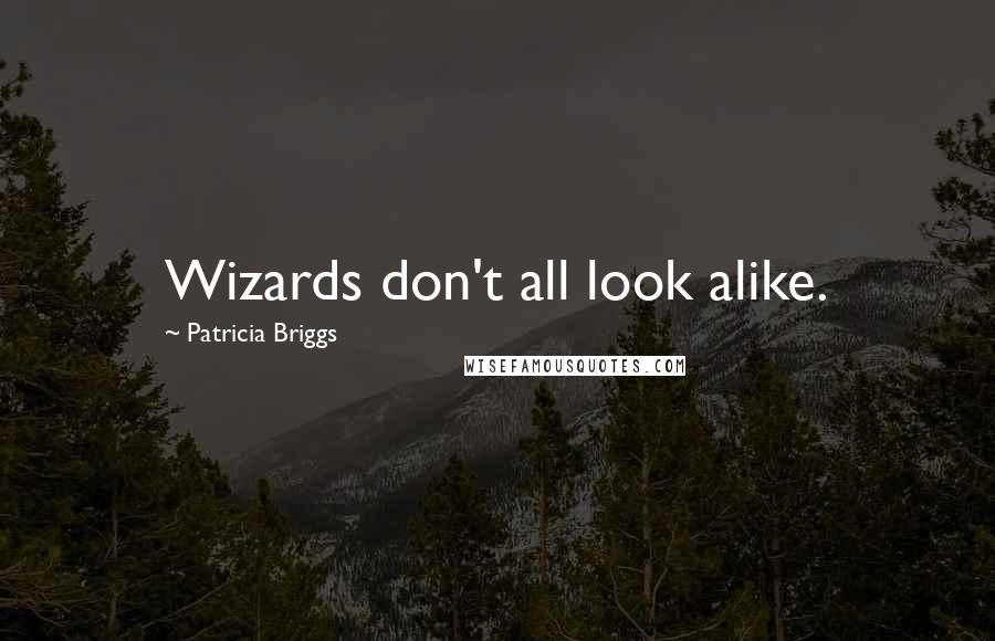 Patricia Briggs Quotes: Wizards don't all look alike.