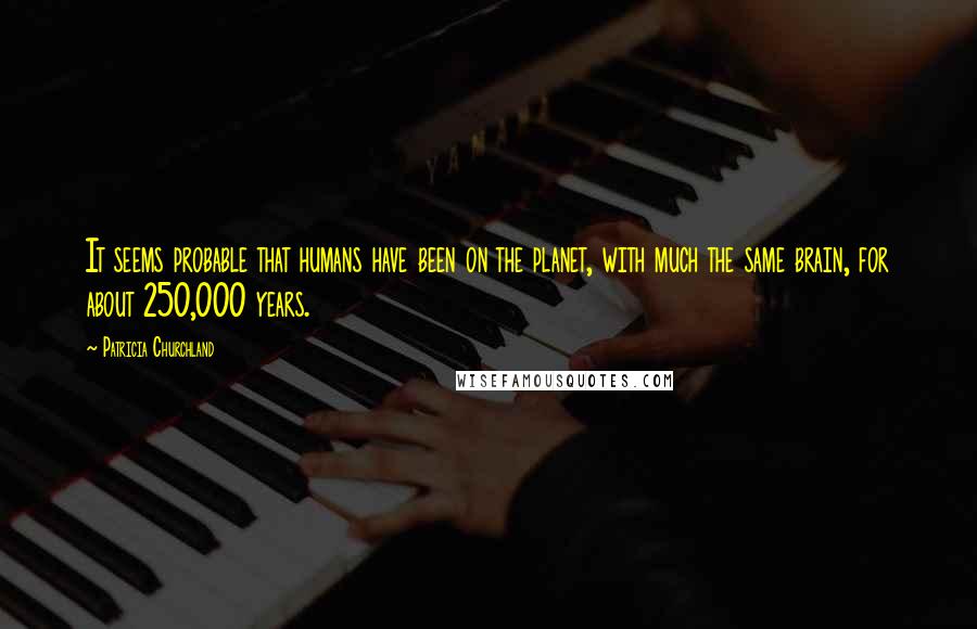 Patricia Churchland Quotes: It seems probable that humans have been on the planet, with much the same brain, for about 250,000 years.