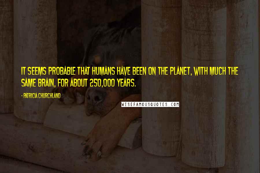 Patricia Churchland Quotes: It seems probable that humans have been on the planet, with much the same brain, for about 250,000 years.