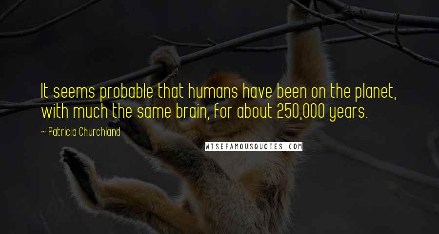 Patricia Churchland Quotes: It seems probable that humans have been on the planet, with much the same brain, for about 250,000 years.