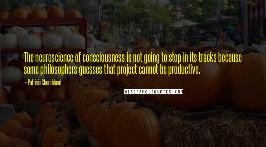 Patricia Churchland Quotes: The neuroscience of consciousness is not going to stop in its tracks because some philosophers guesses that project cannot be productive.