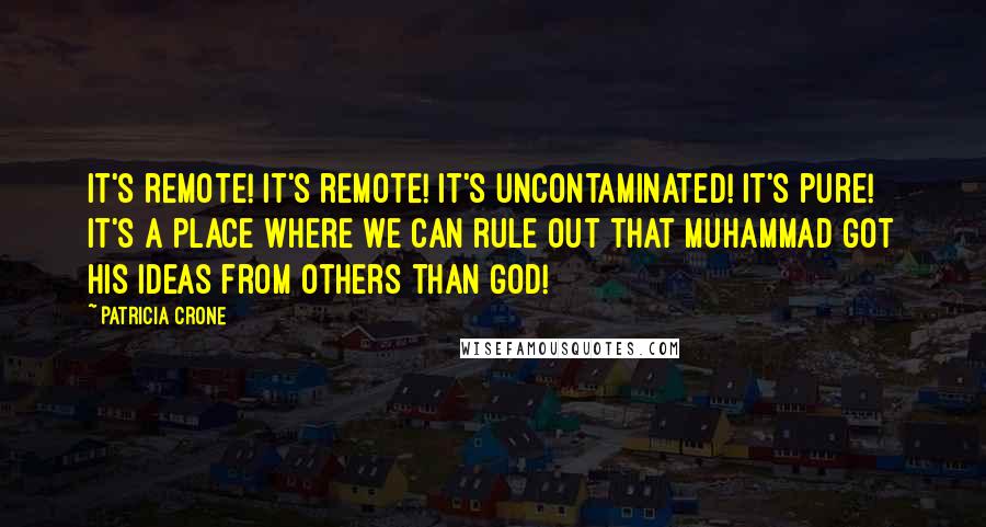 Patricia Crone Quotes: It's remote! It's remote! It's uncontaminated! It's pure! It's a place where we can rule out that Muhammad got his ideas from others than God!