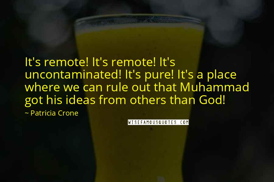 Patricia Crone Quotes: It's remote! It's remote! It's uncontaminated! It's pure! It's a place where we can rule out that Muhammad got his ideas from others than God!