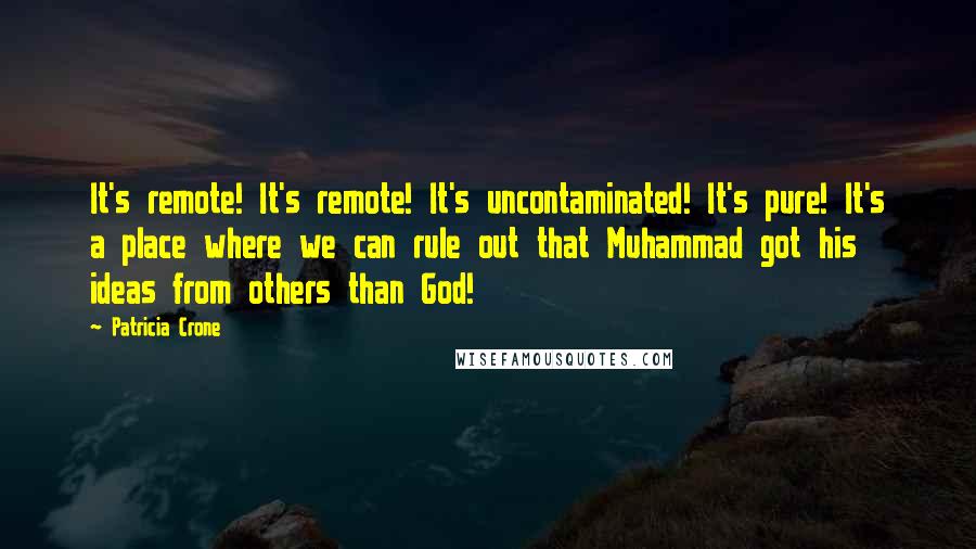 Patricia Crone Quotes: It's remote! It's remote! It's uncontaminated! It's pure! It's a place where we can rule out that Muhammad got his ideas from others than God!