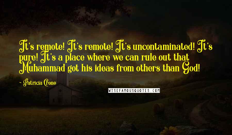 Patricia Crone Quotes: It's remote! It's remote! It's uncontaminated! It's pure! It's a place where we can rule out that Muhammad got his ideas from others than God!