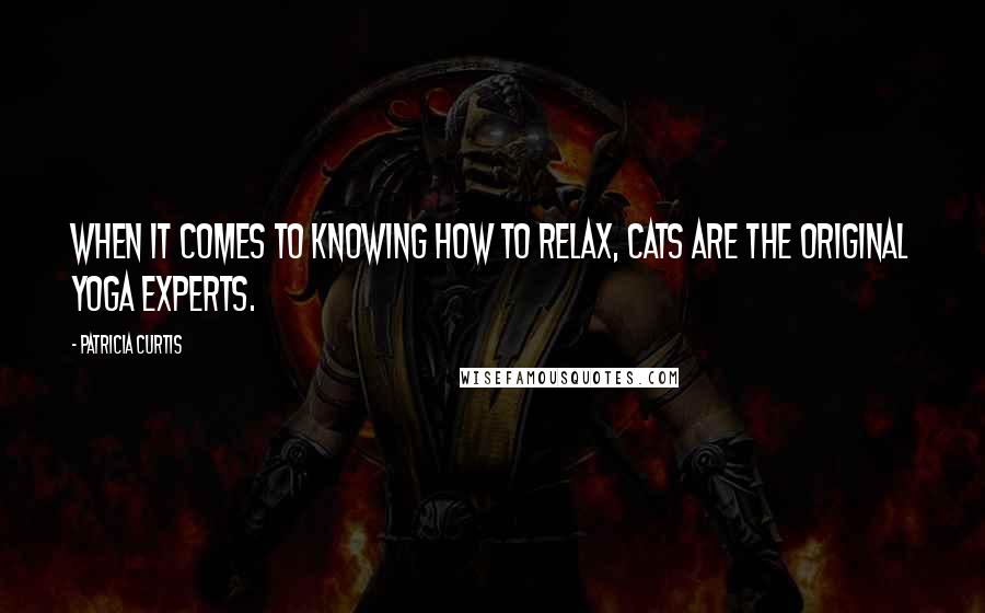 Patricia Curtis Quotes: When it comes to knowing how to relax, cats are the original yoga experts.