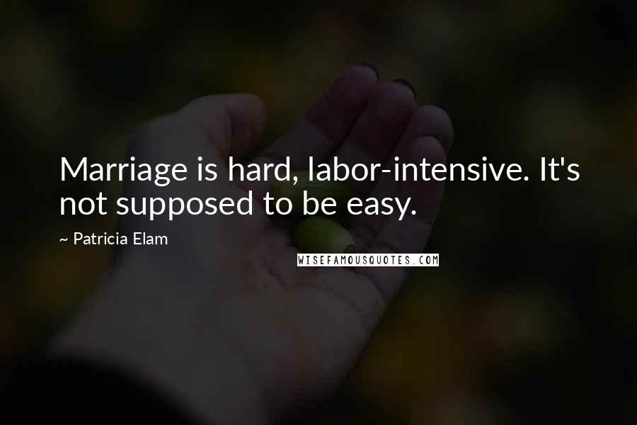 Patricia Elam Quotes: Marriage is hard, labor-intensive. It's not supposed to be easy.