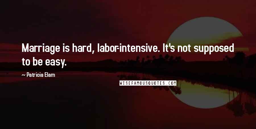 Patricia Elam Quotes: Marriage is hard, labor-intensive. It's not supposed to be easy.