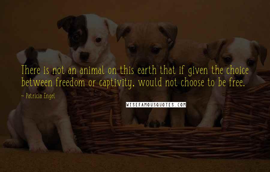 Patricia Engel Quotes: There is not an animal on this earth that if given the choice between freedom or captivity, would not choose to be free.