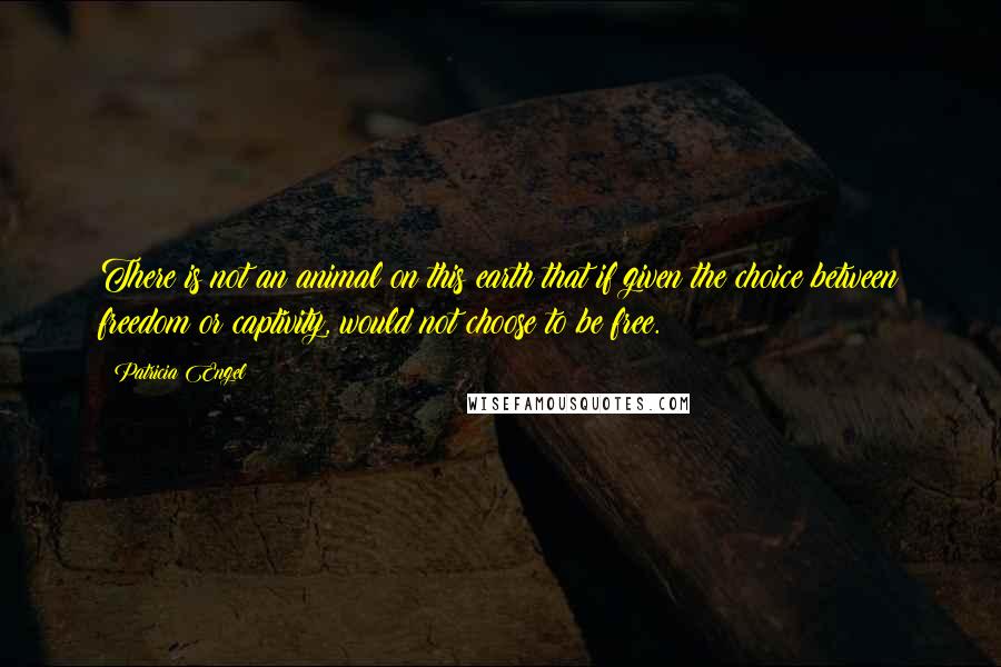 Patricia Engel Quotes: There is not an animal on this earth that if given the choice between freedom or captivity, would not choose to be free.