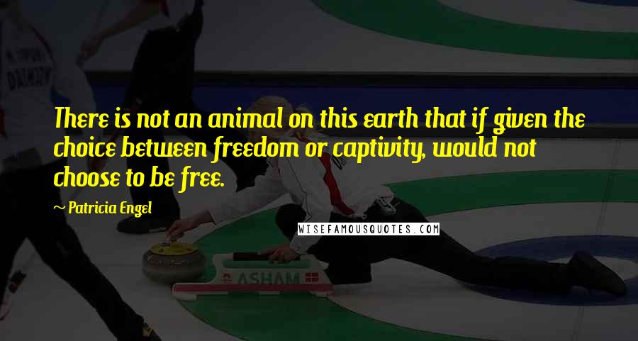 Patricia Engel Quotes: There is not an animal on this earth that if given the choice between freedom or captivity, would not choose to be free.