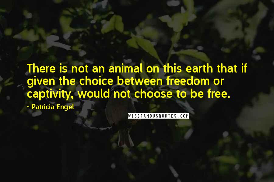 Patricia Engel Quotes: There is not an animal on this earth that if given the choice between freedom or captivity, would not choose to be free.