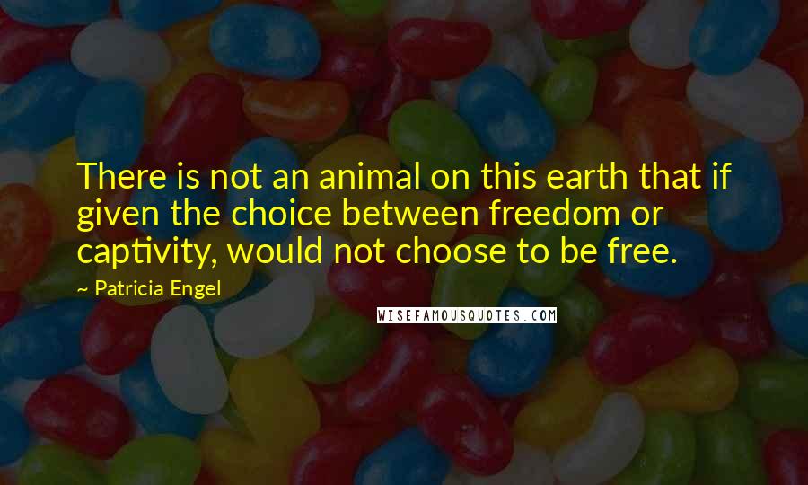 Patricia Engel Quotes: There is not an animal on this earth that if given the choice between freedom or captivity, would not choose to be free.