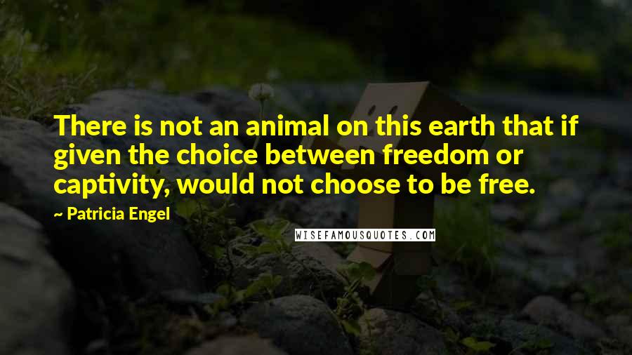 Patricia Engel Quotes: There is not an animal on this earth that if given the choice between freedom or captivity, would not choose to be free.