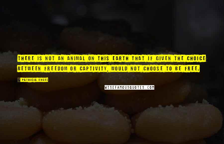 Patricia Engel Quotes: There is not an animal on this earth that if given the choice between freedom or captivity, would not choose to be free.