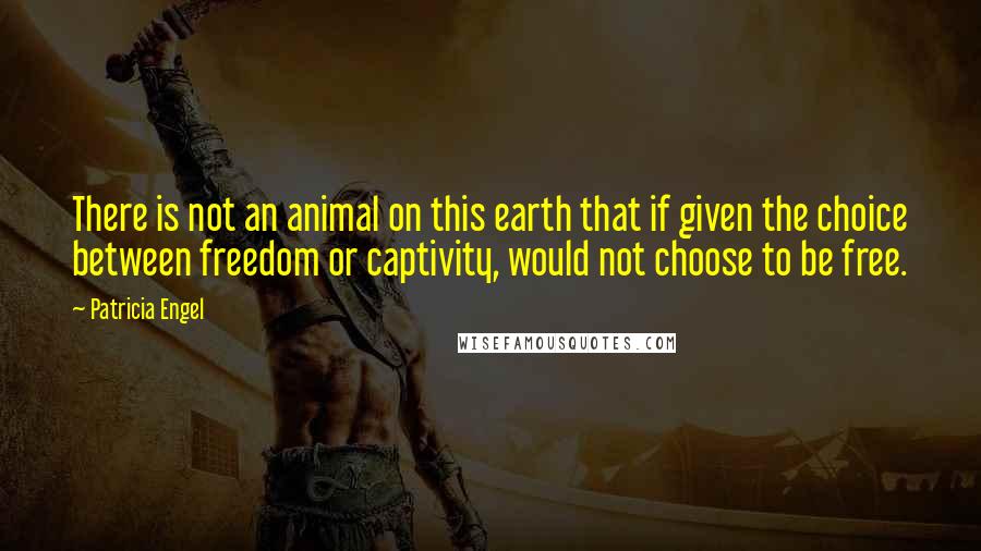 Patricia Engel Quotes: There is not an animal on this earth that if given the choice between freedom or captivity, would not choose to be free.