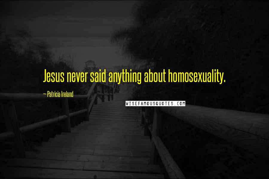 Patricia Ireland Quotes: Jesus never said anything about homosexuality.