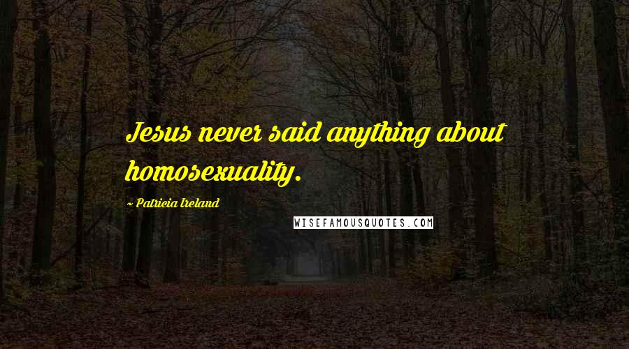 Patricia Ireland Quotes: Jesus never said anything about homosexuality.