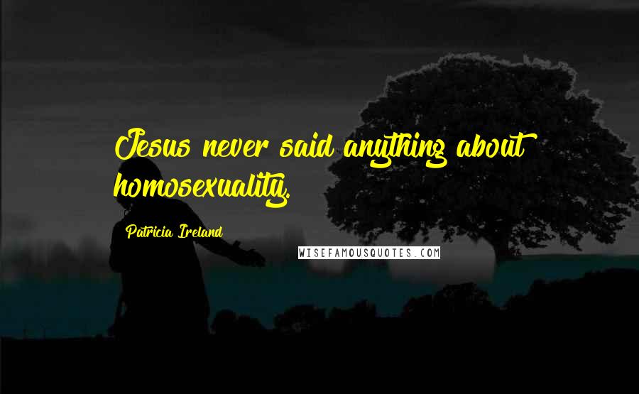 Patricia Ireland Quotes: Jesus never said anything about homosexuality.