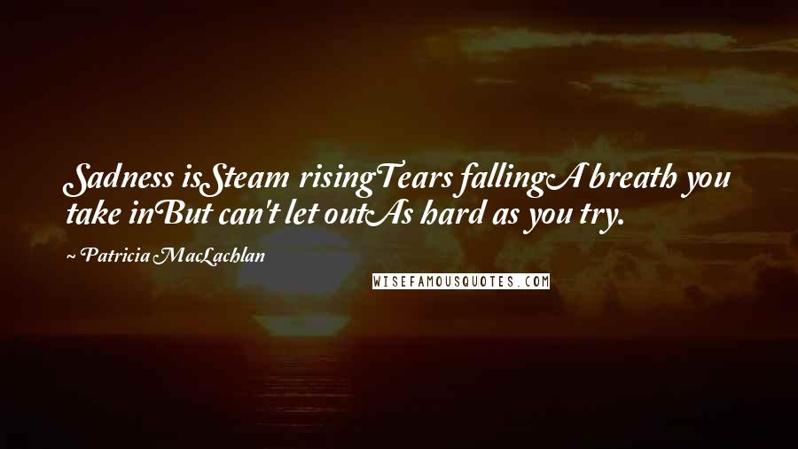 Patricia MacLachlan Quotes: Sadness isSteam risingTears fallingA breath you take inBut can't let outAs hard as you try.