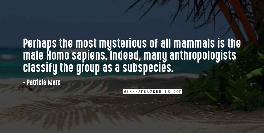 Patricia Marx Quotes: Perhaps the most mysterious of all mammals is the male Homo sapiens. Indeed, many anthropologists classify the group as a subspecies.