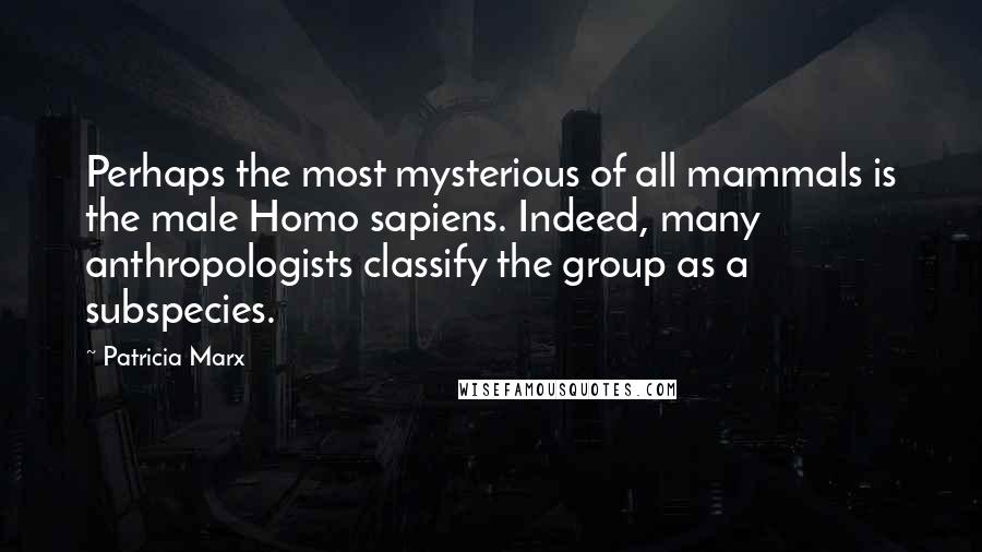 Patricia Marx Quotes: Perhaps the most mysterious of all mammals is the male Homo sapiens. Indeed, many anthropologists classify the group as a subspecies.