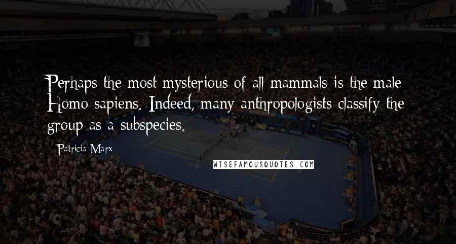 Patricia Marx Quotes: Perhaps the most mysterious of all mammals is the male Homo sapiens. Indeed, many anthropologists classify the group as a subspecies.