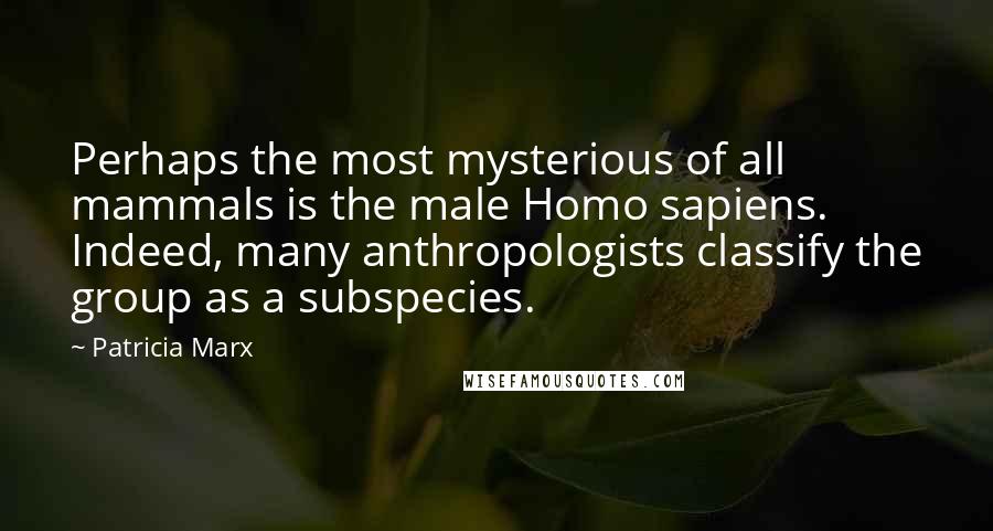 Patricia Marx Quotes: Perhaps the most mysterious of all mammals is the male Homo sapiens. Indeed, many anthropologists classify the group as a subspecies.