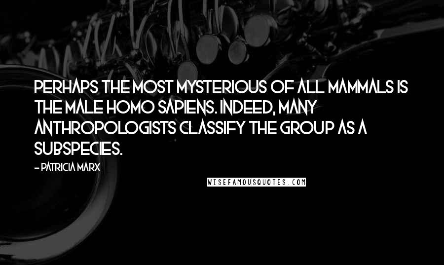 Patricia Marx Quotes: Perhaps the most mysterious of all mammals is the male Homo sapiens. Indeed, many anthropologists classify the group as a subspecies.