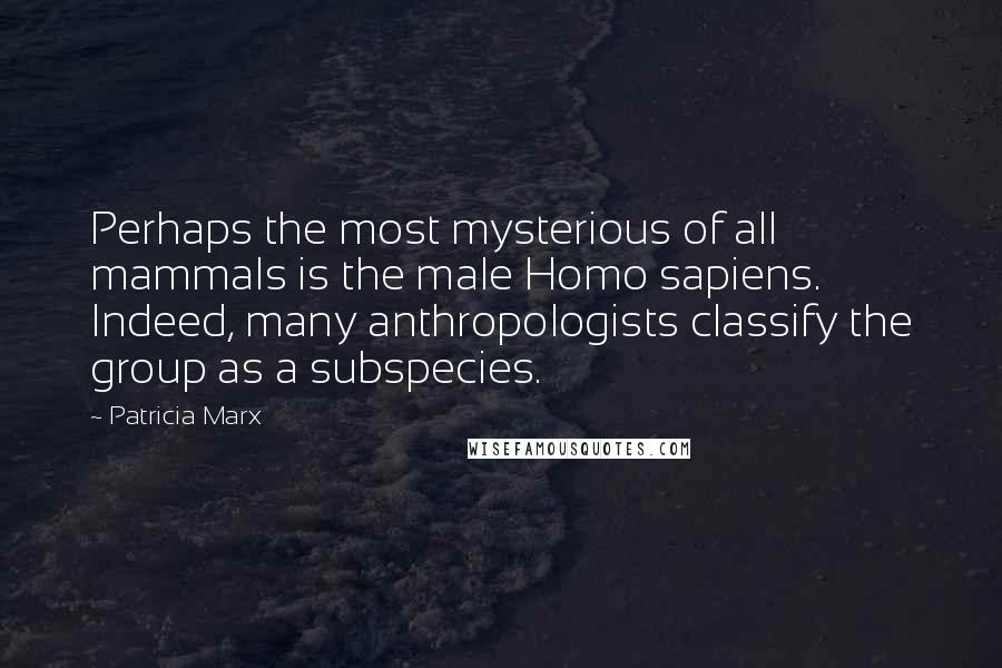 Patricia Marx Quotes: Perhaps the most mysterious of all mammals is the male Homo sapiens. Indeed, many anthropologists classify the group as a subspecies.