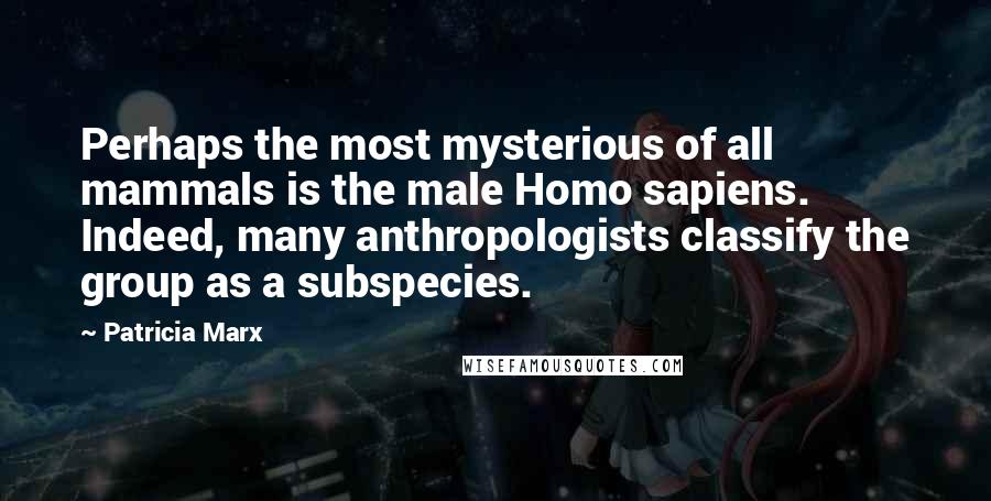 Patricia Marx Quotes: Perhaps the most mysterious of all mammals is the male Homo sapiens. Indeed, many anthropologists classify the group as a subspecies.