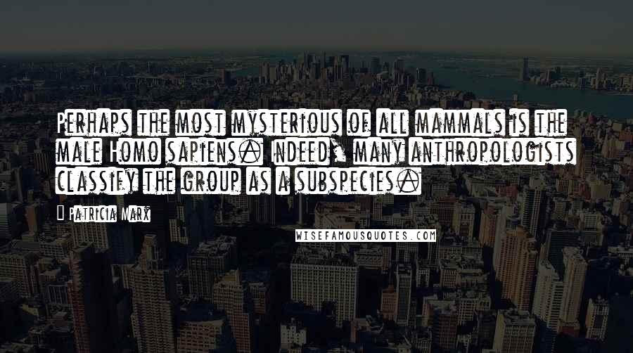 Patricia Marx Quotes: Perhaps the most mysterious of all mammals is the male Homo sapiens. Indeed, many anthropologists classify the group as a subspecies.